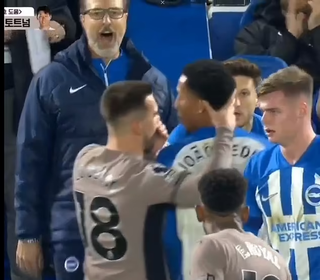 Lo Celso and Joao Pedro Engage in Fiery Clash as Brighton Downs Tottenham 4-2