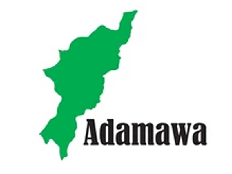 Police Arrest Four Suspected Kidnappers in Adamawa