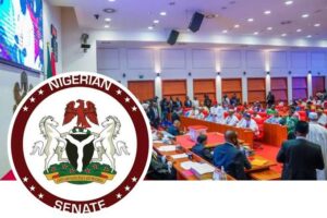 Senate Announces 45-Member Committee to Review 1999 Constitution