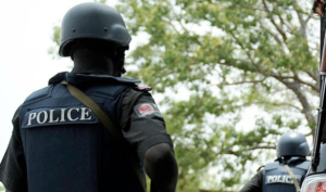 Police Inspector Dismissed for Alleged Theft, Three Officers Demoted
