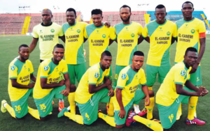 El-Kanemi Warriors, Ikorodu City, and Others Secure Promotion to NPFL