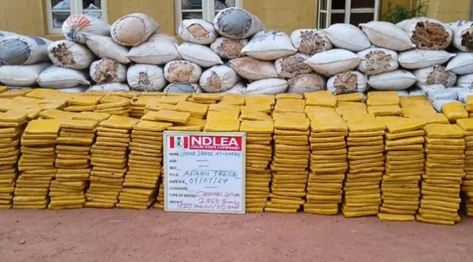 NDLEA Foils Plot to Export Drugs to USA, UK, Europe
