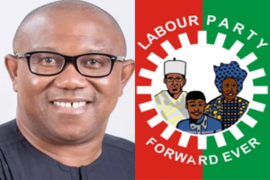 Labour Party Denounces Allegations Linking Peter Obi to Anti-Tinubu Protests