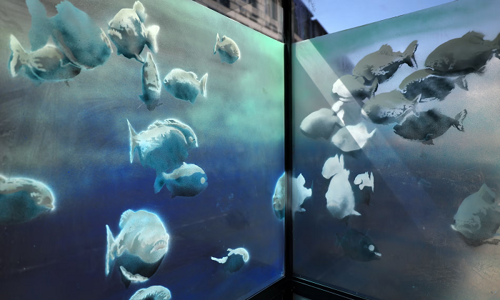 Banksy Transforms London with Seventh Animal Artwork: Piranhas in Police Box Captivate Crowds