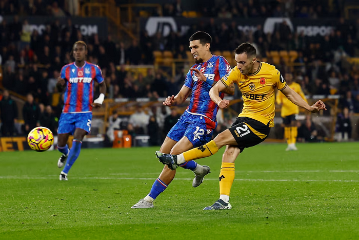 wolves vs crystal palace